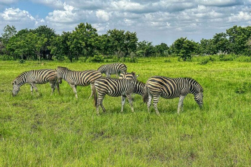 Shai Hills Safari - Hike & See Animals 2