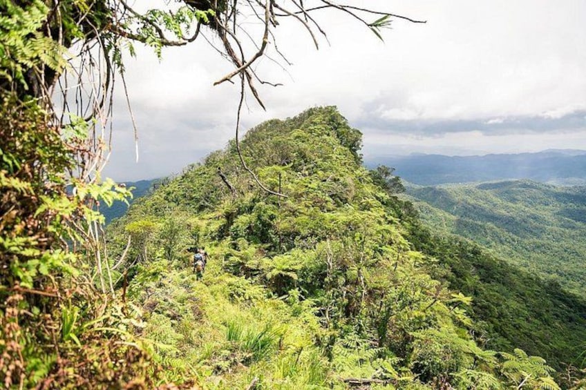 Ridgeline on Mt Tomaniivi, Fiji's highest mountain 1