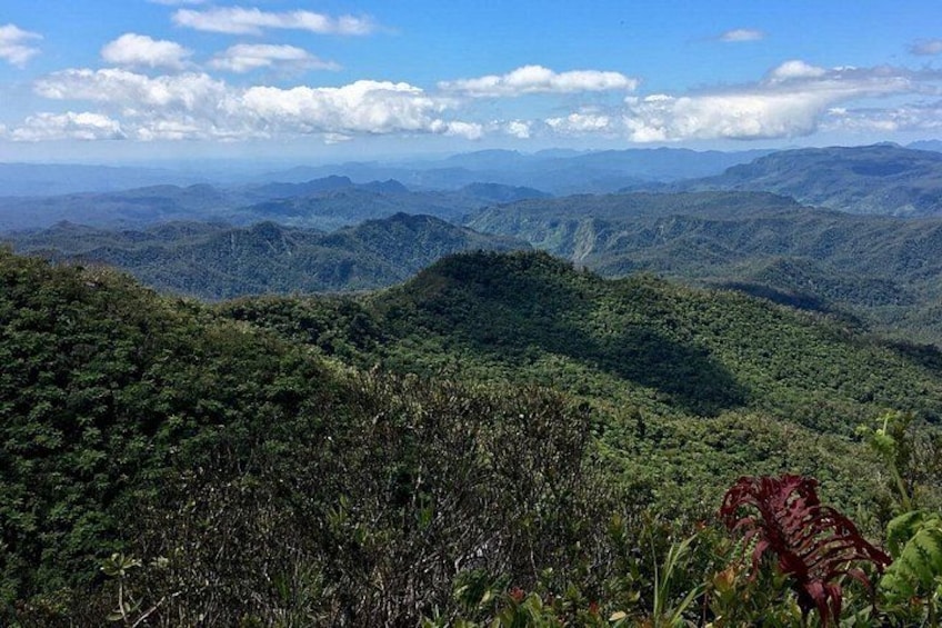 A view from Mt Tomaniivi, Fiji's highest mountain 5