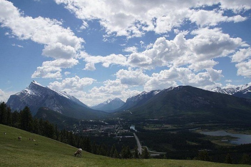Private Customizable Banff Tour Lake Louise-Moraine 6 More Sights 2