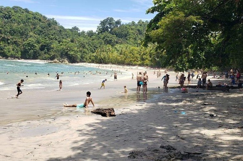 Una spiaggia con persone che nuotano e passeggiano, circondata da una fitta vegetazione verde. 5