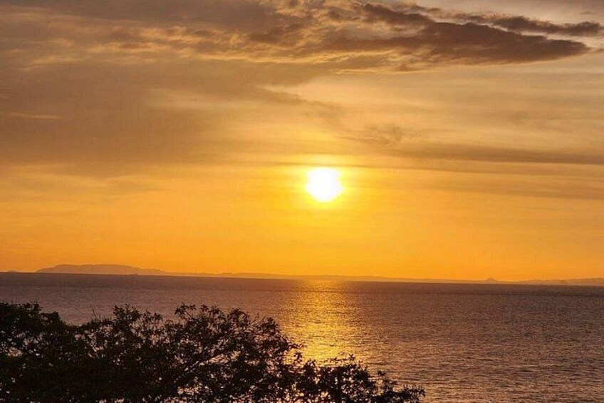 Tramonto su uno specchio d'acqua, con il profilo di alberi in primo piano. 2