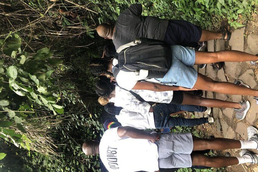 Hiking 5