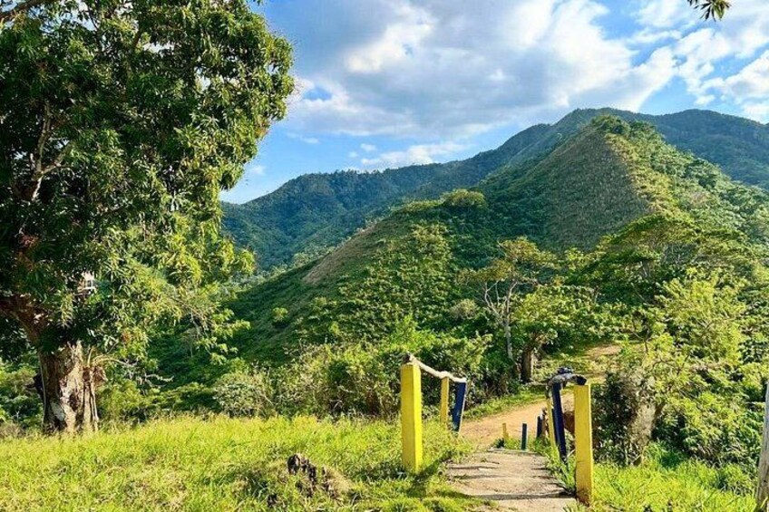 A hiking trail with yellow posts, lush green hills, and a clear sky. 3