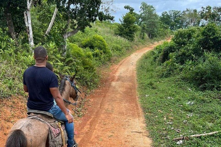 A man riding a horse on a dirt road surrounded by greenery. 5