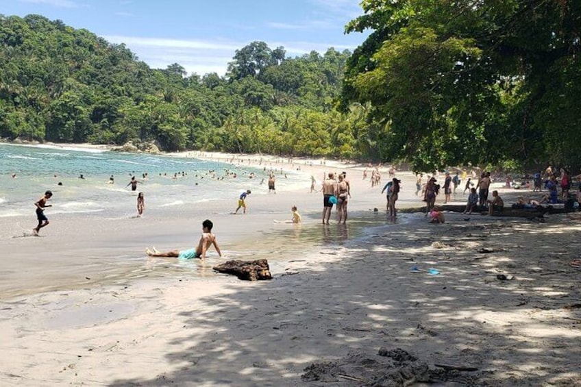 Ein Strand mit badenden und spazierenden Personen, umgeben von dichtem Grün. 1