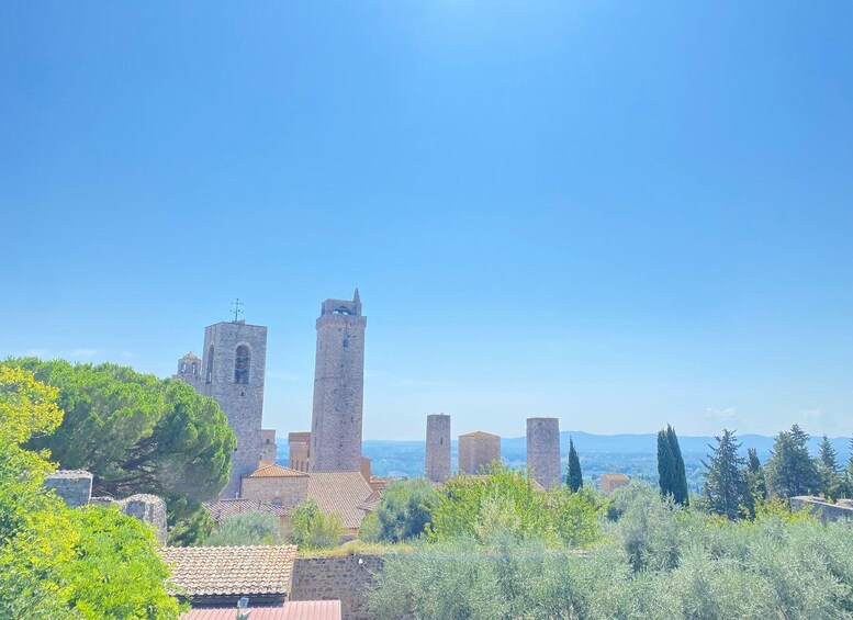 Picture 4 for Activity Florence: Day Trip with Free Time in San Gimignano and Siena
