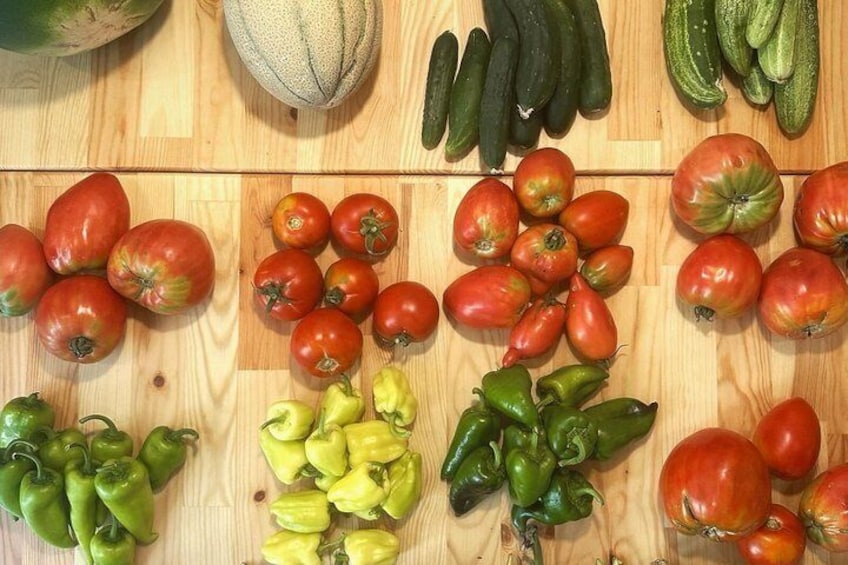 Un assortiment de légumes frais, notamment des tomates, des concombres et des poivrons. 5