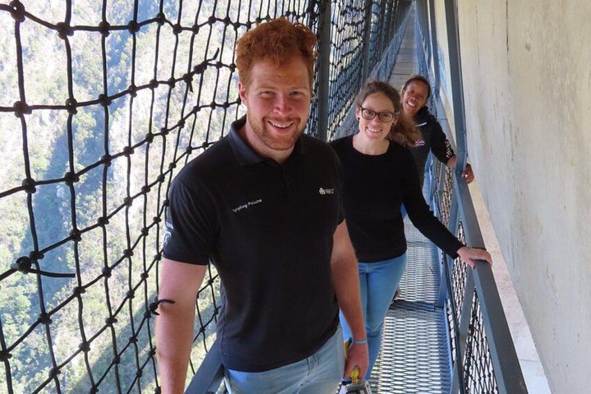 Eine Person geht über eine Hängebrücke mit Netz, umgeben von Bäumen. 5