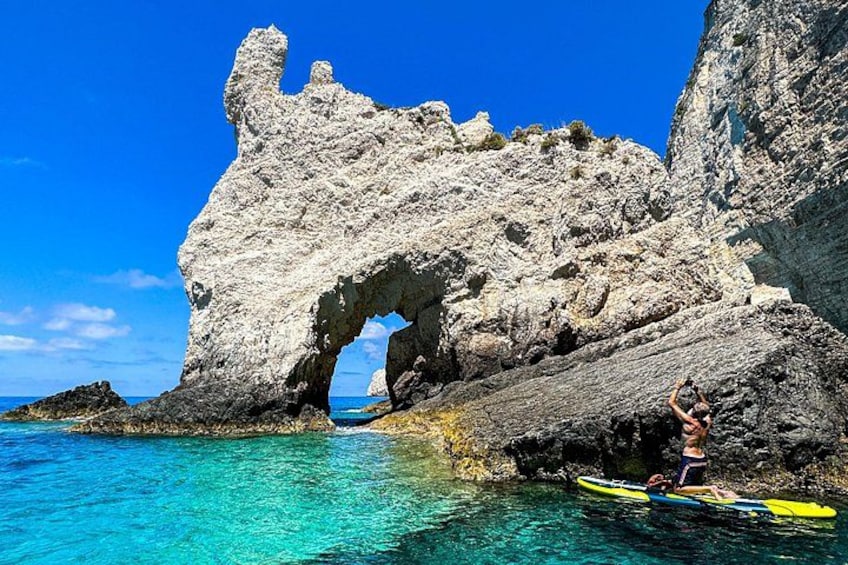 dolphin rock 4
