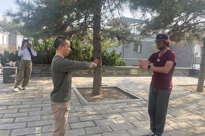 Two people practicing Tai Chi in a park with trees and a paved walkway. 3