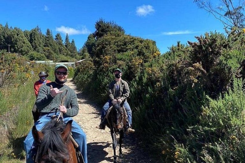 Highlands Horseback Riding in Bogotá 5