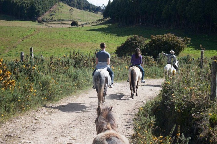 Highlands Horseback Riding in Bogotá 2