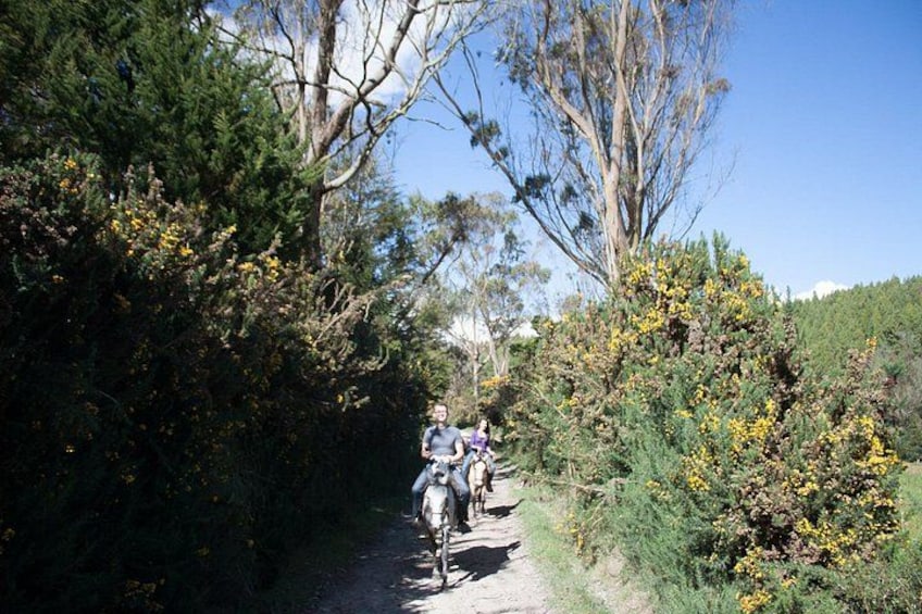 Highlands Horseback Riding in Bogotá 1