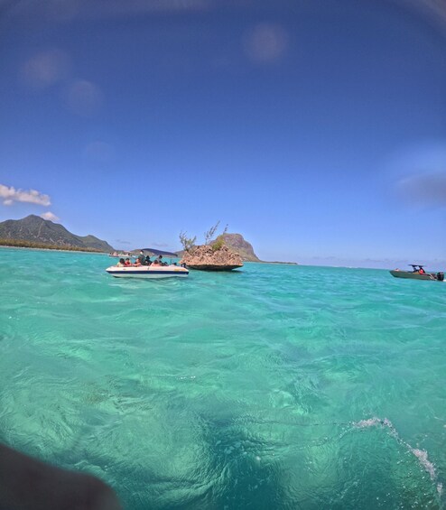Picture 21 for Activity PRIVATE DOLPHIN-TURTLE Snorkel, CrystalRock, Benitiers lunch 2