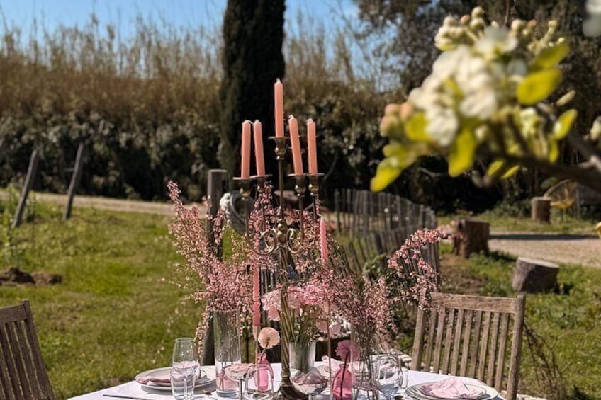 Dinner in the Vineyard Saint Tropez 2