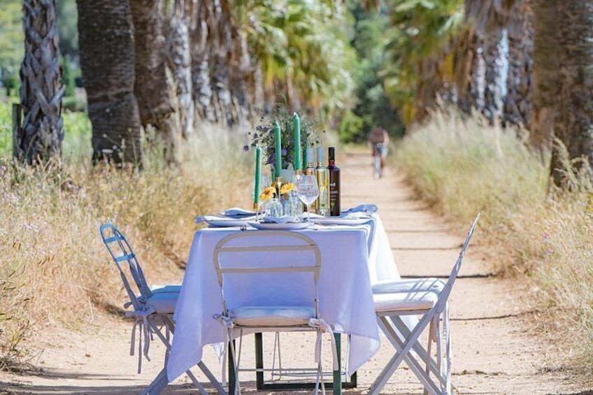 Dinner in the Vineyard Saint Tropez 4