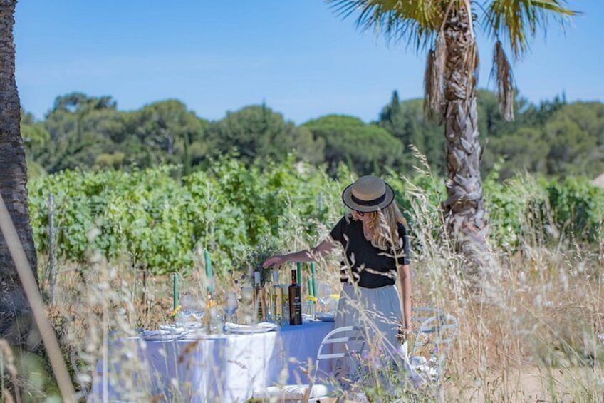 Dinner in the Vineyard Saint Tropez 5
