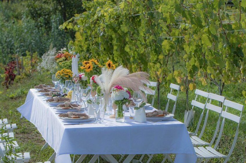 Lunch in the Vineyard Saint Tropez Gassin 1