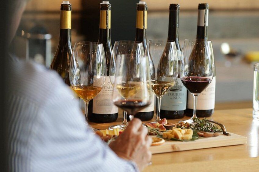 Private Walking Tour in Evora and Winery Experience in Alentejo 2