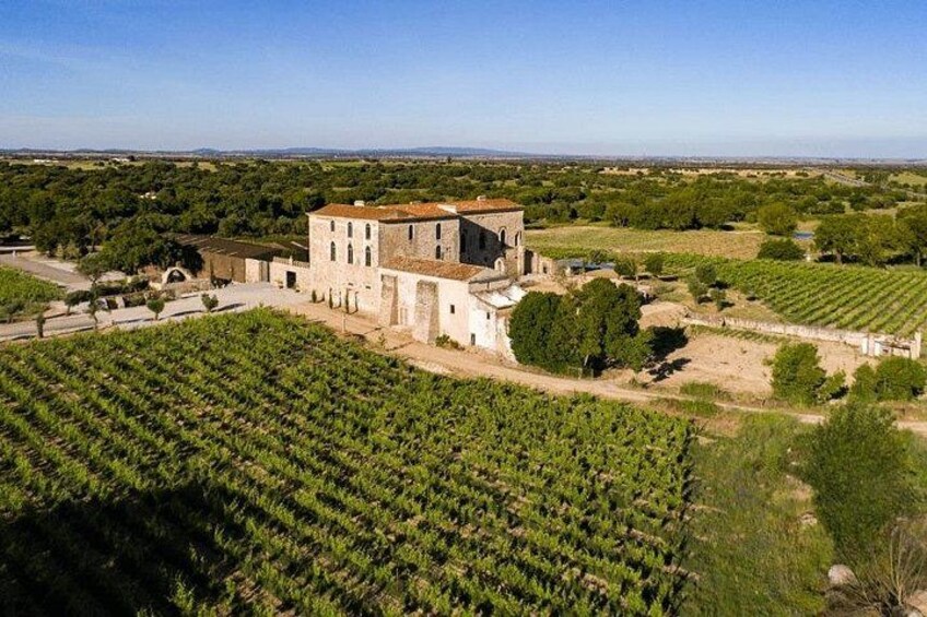 Private Walking Tour in Evora and Winery Experience in Alentejo 5