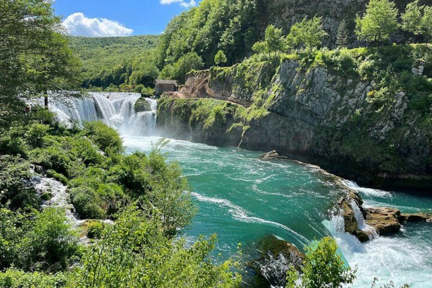 A waterfall, lush greenery, and a river. 3