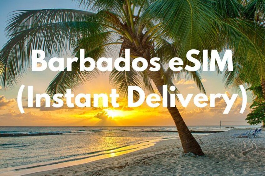 A beach with a palm tree and the text 'Barbados eSIM (Instant Delivery)'. 1