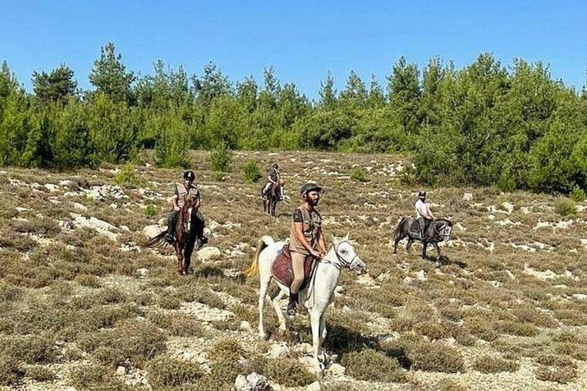 Lebanon Mountains Horseback Riding From Beirut 5