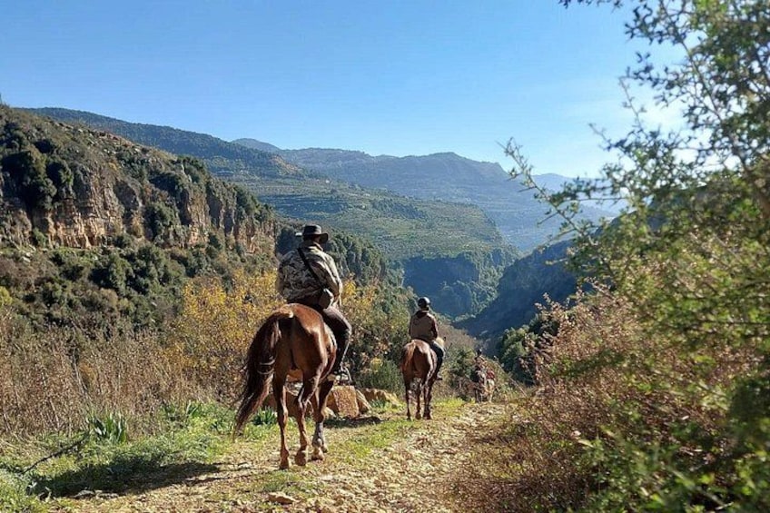 Lebanon Mountains Horseback Riding From Beirut 1