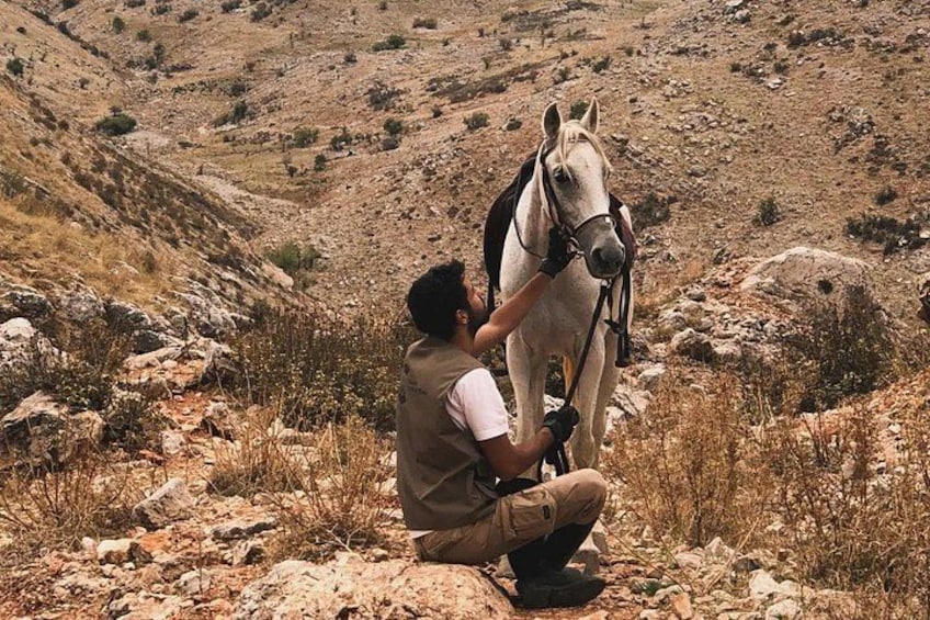 Lebanon Mountains Horseback Riding From Beirut 2