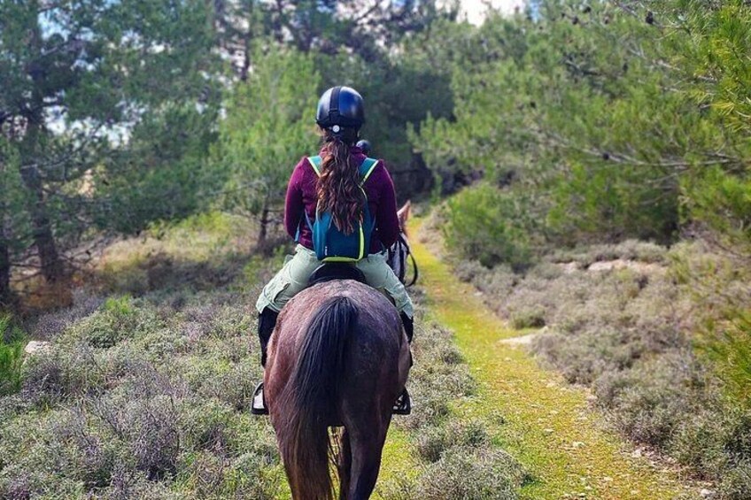 Lebanon Mountains Horseback Riding From Beirut 4