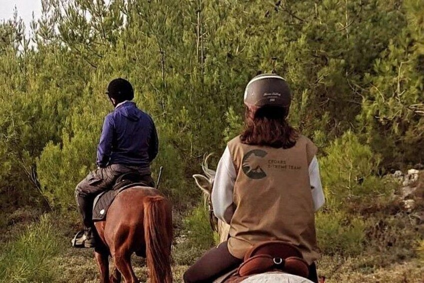 Lebanon Mountains Horseback Riding From Beirut 3
