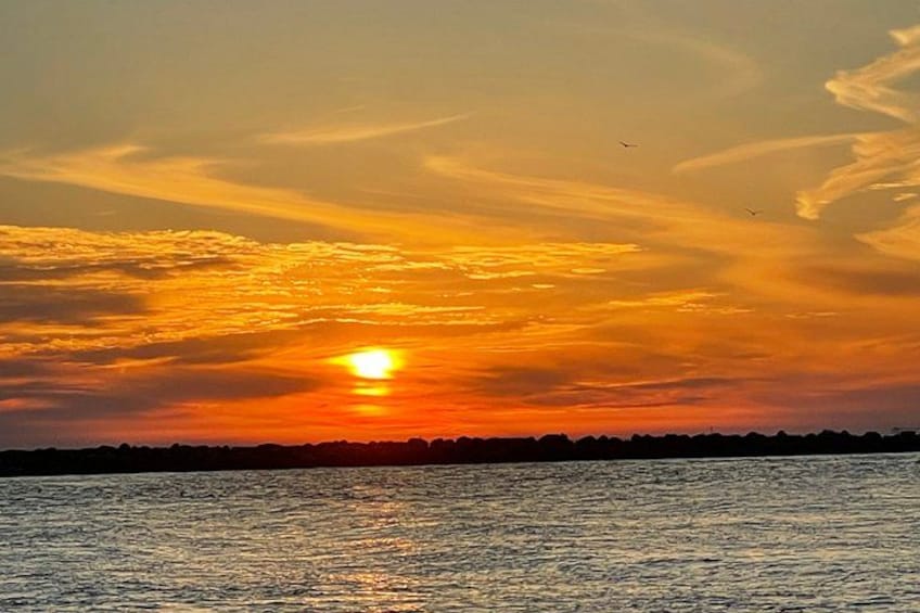 Sunset Dolphin Cruise 2