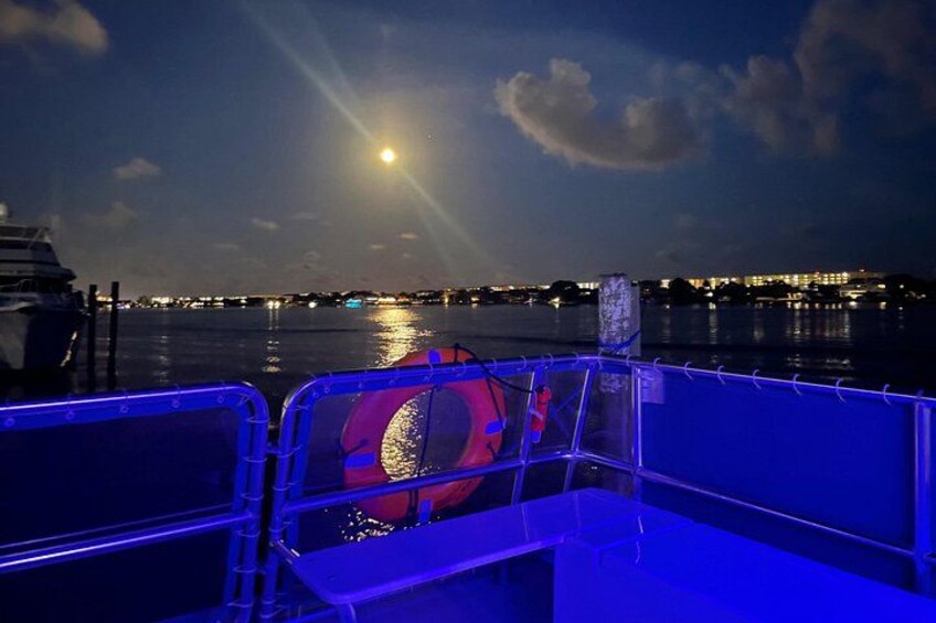 Sunset Dolphin Cruise 3