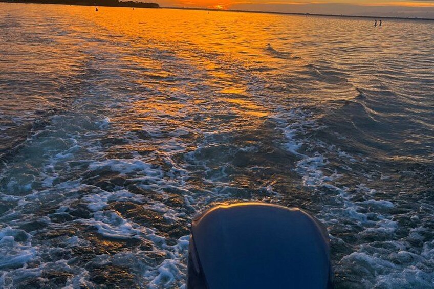 Sunset Dolphin Cruise 5