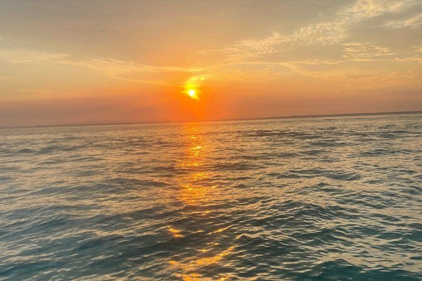 Sunset Dolphin Cruise 4