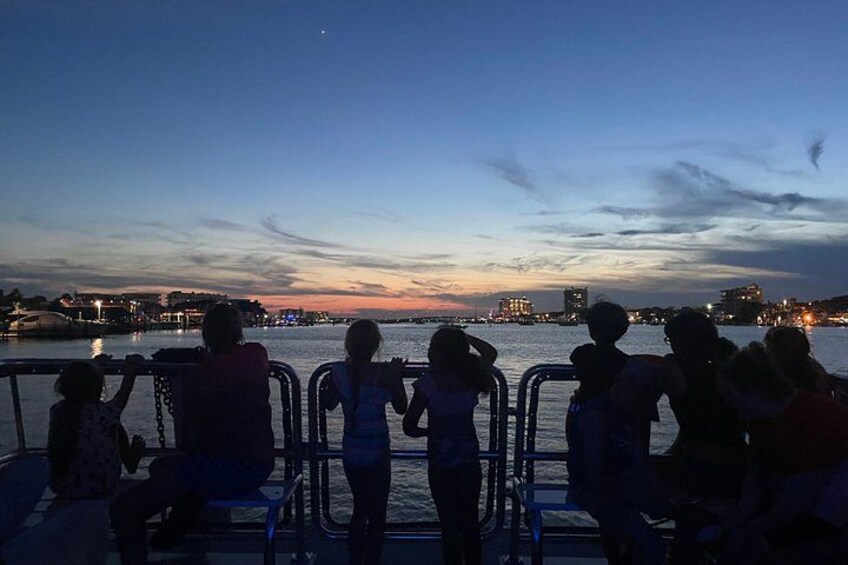 Sunset Dolphin Cruise 2