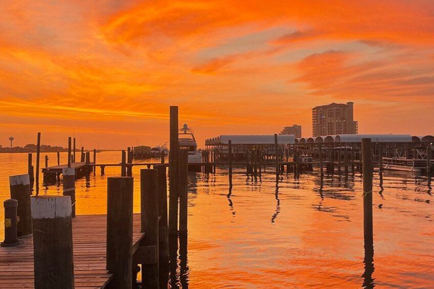 Sunset Dolphin Cruise 4