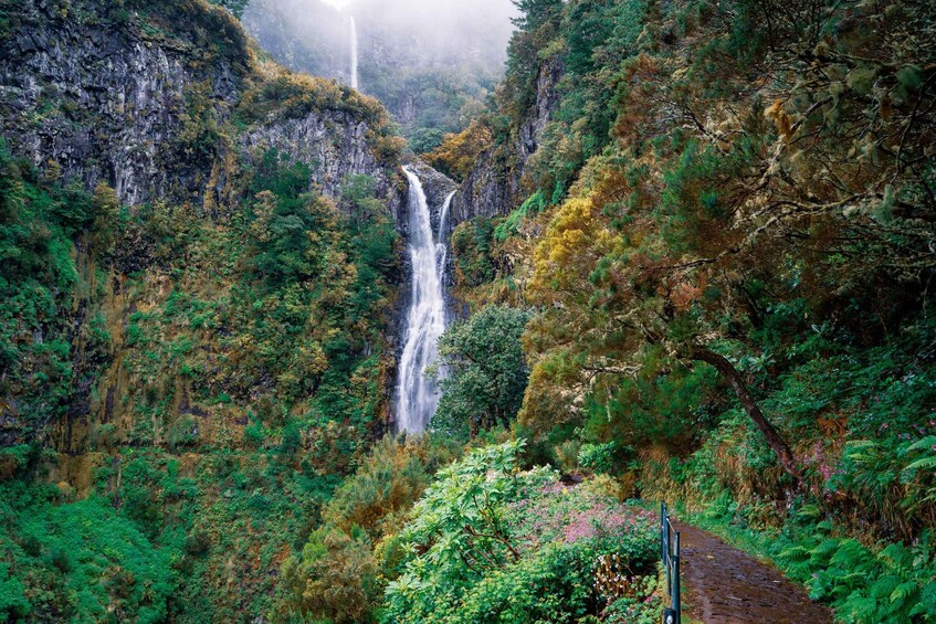 Madeira: Enjoy a Guided Levada Walk in the Rabaçal Valley 1
