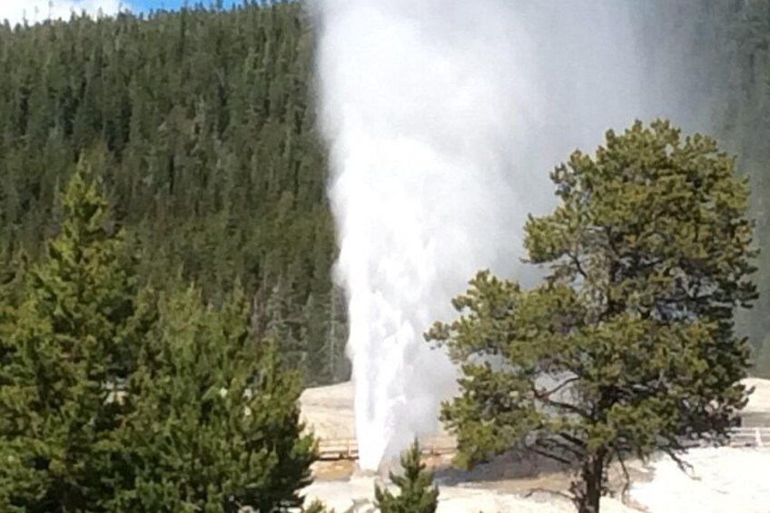 Full Day Yellowstone National Park Tour with lunch included 3