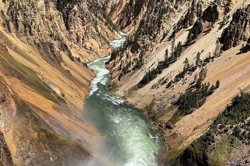 Full Day Yellowstone National Park Tour with lunch included 1
