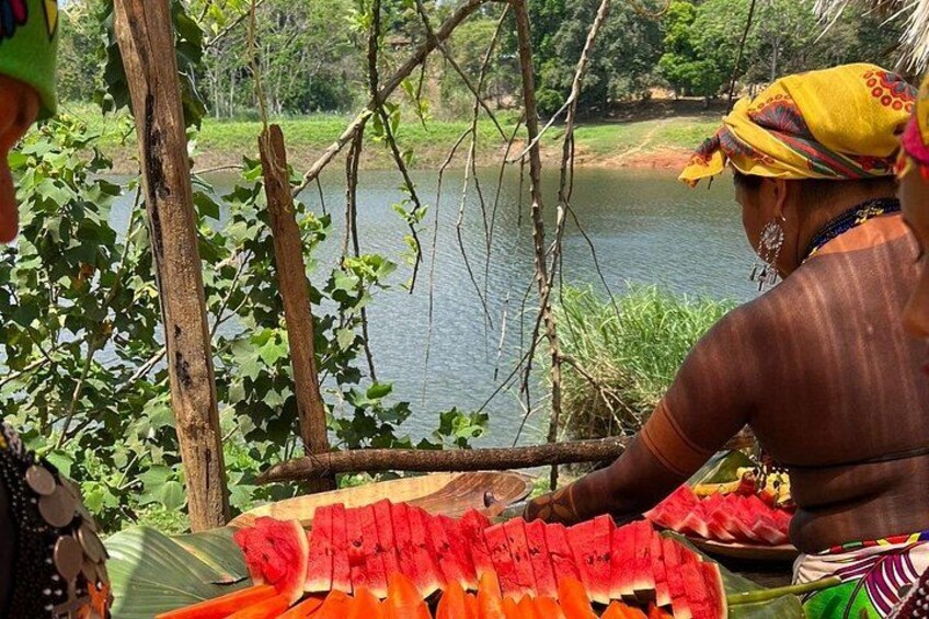 Embera Indigenous Village & Waterfall Tour with Lunch 4