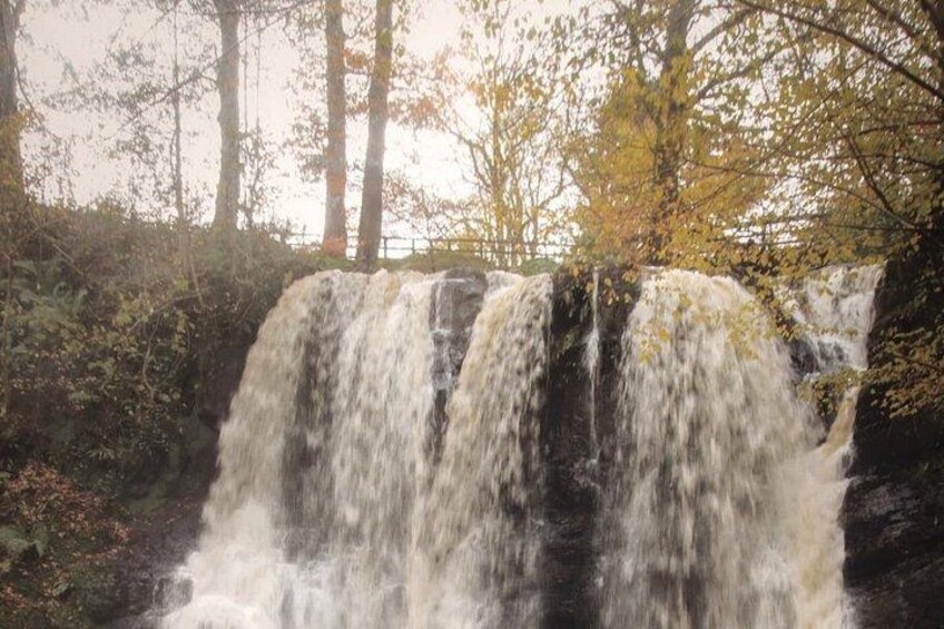 A waterfall cascading over rocks surrounded by trees. 5