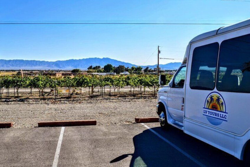 Scenic Wine Tasting Tour from Las Vegas with Food 3