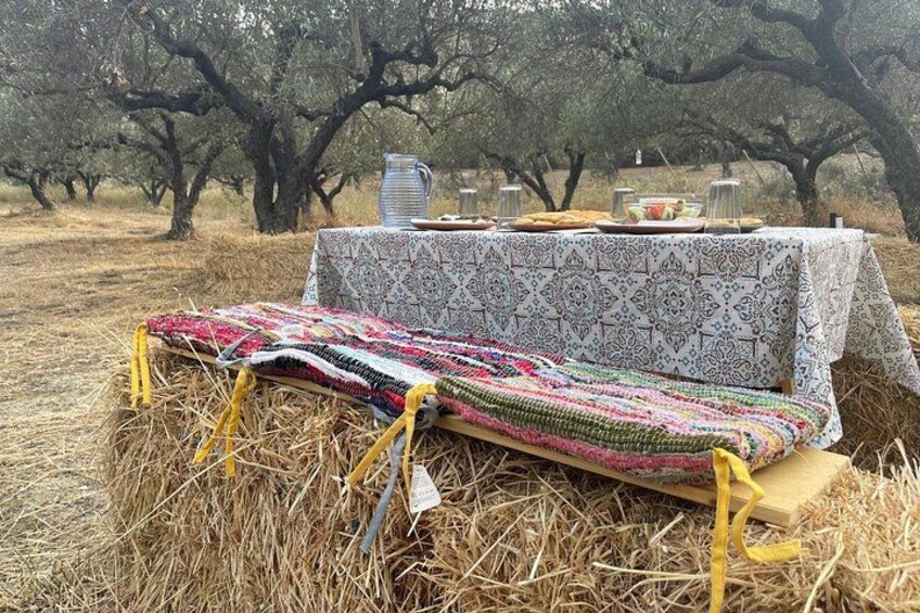 Heraklion:Olive & Dragon Fruit Farm Tour & Cretan Farmers Brunch 2