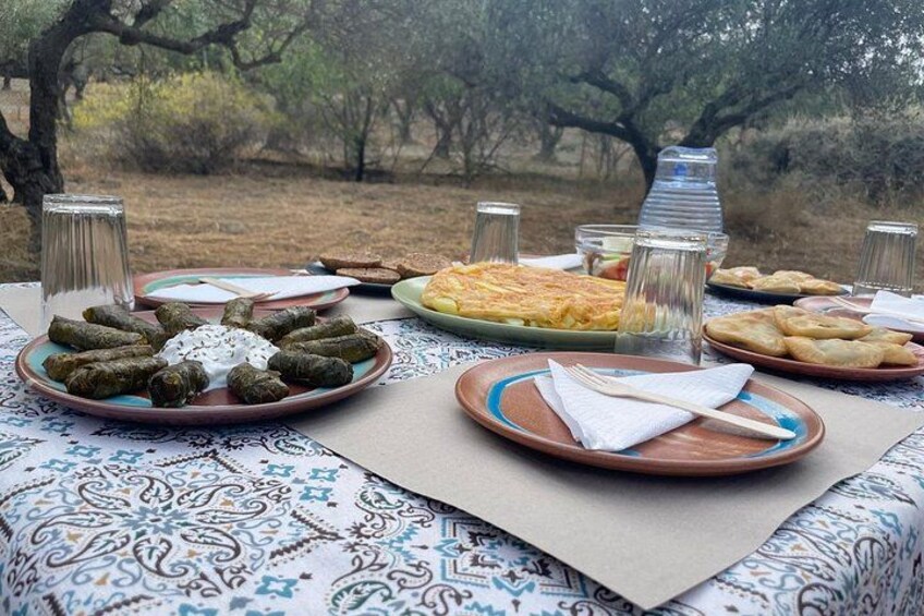 Heraklion:Olive & Dragon Fruit Farm Tour & Cretan Farmers Brunch 5
