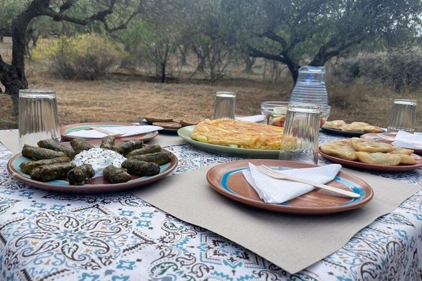 Heraklion:Olive & Dragon Fruit Farm Tour & Cretan Farmers Brunch 1