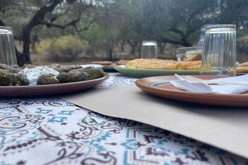 Heraklion:Olive & Dragon Fruit Farm Tour & Cretan Farmers Brunch 3