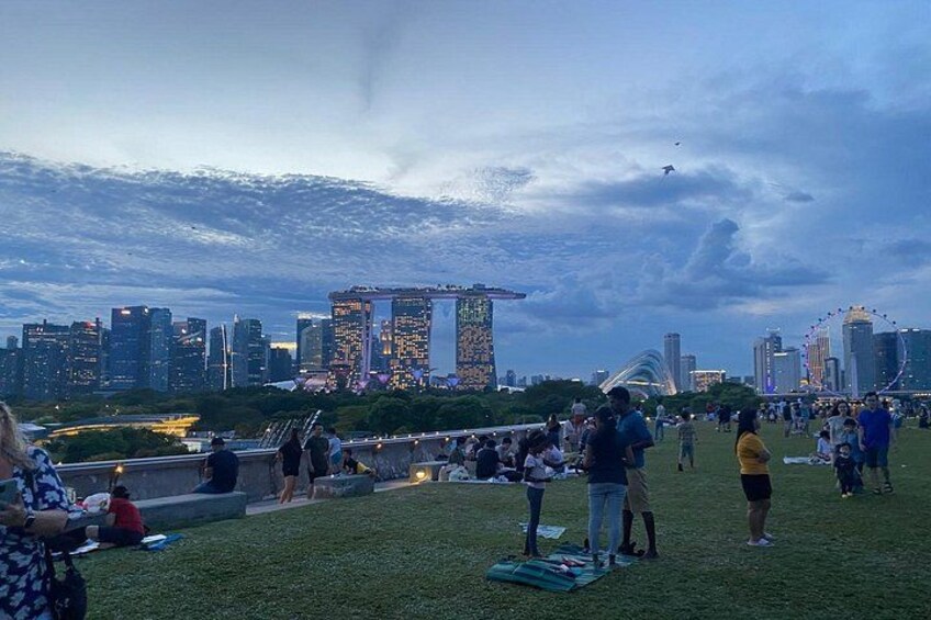 A park with people, a grassy area, and a city skyline with tall buildings in the background. 3