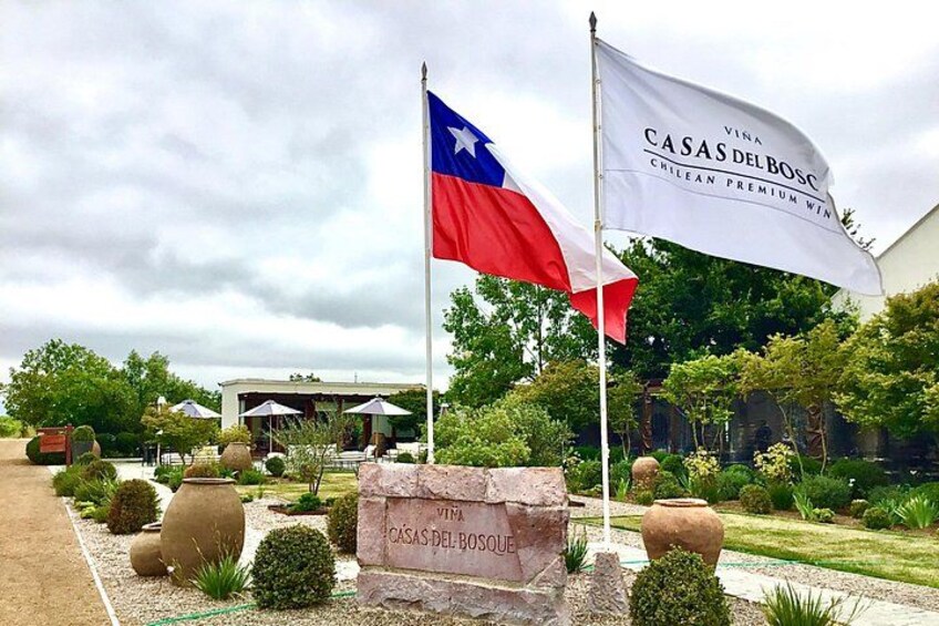 A flagpole with a Texas state flag, a Chilean flag, and a banner for CASAS DEL BOSQUE. 3